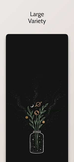 Aesthetic Wallpaper Black HD Screenshot 2