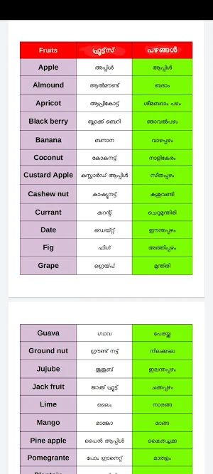 English Malayalam Guide Screenshot 3