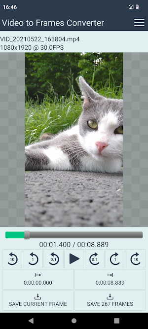 Video to Frames Converter Screenshot 0