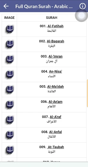 Abdulbasit Full Quran Offline Screenshot 3