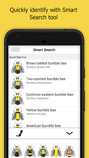 Bumble Bee Watch Screenshot 2