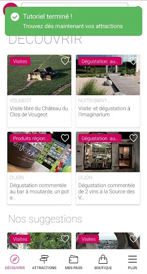 Dijon City Pass Screenshot 2