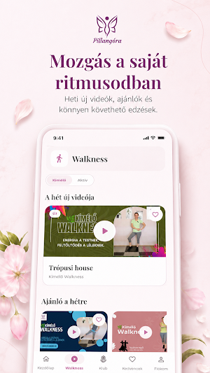 Pillangóra Screenshot 1