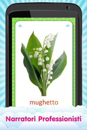 Italian Flashcards for Kids Screenshot 3