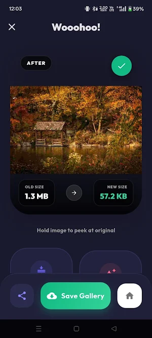 Image Compressor Screenshot 1
