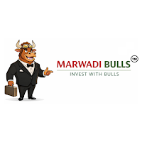 Marwadi Bulls