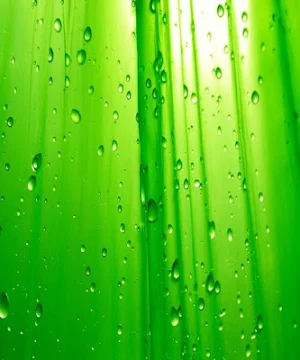 Wallpaper For Smartphone HD Screenshot 3