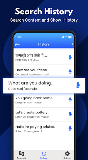 Hindi to English Translator :  Screenshot 2