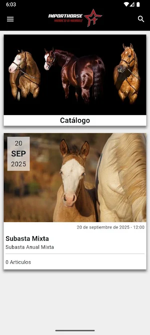 Imporhorse Screenshot 0