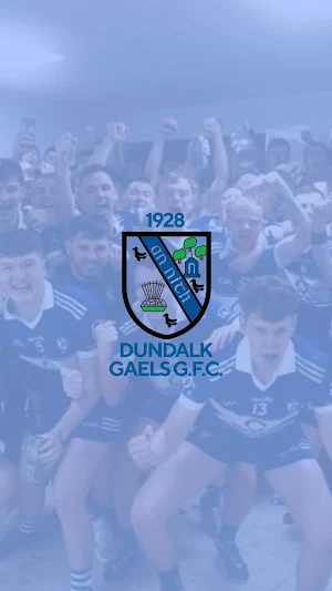Dundalk Gaels GFC Screenshot 0