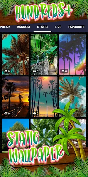 palm tree wallpaper Screenshot 3
