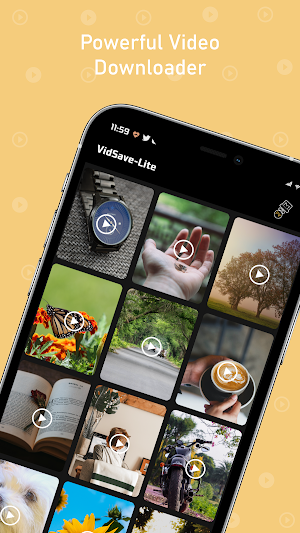 Vidsaver:HD Video downloader Screenshot 0
