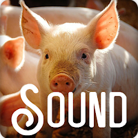 Pig Soundboard Ringtones