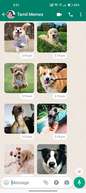 Dog Stickers Screenshot 3