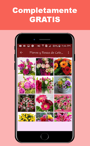 Flores y Rosas Rojas imágenes gratis Screenshot 1