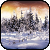 Winter Wallpapers in 4K HD