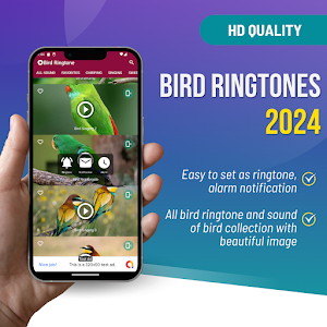 Bird Ringtones: Bird Sound Screenshot 0