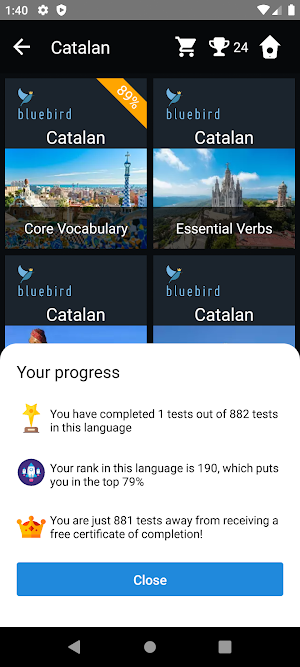 Catalan Language Tests Screenshot 2