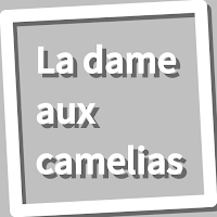 Book, La dame aux camelias