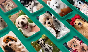Puppy & Dog Wallpapers Offline Screenshot 0