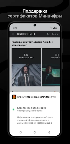Браузер Луна Screenshot 1