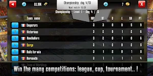 Handball Manager Screenshot 3