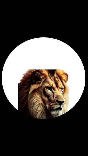 Pe PeAnimales Screenshot 3