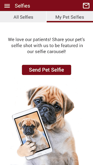 Fischer Vet Clinic Screenshot 3