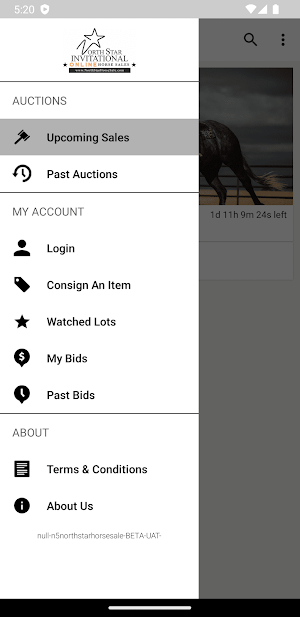 North Star Horse Sales Screenshot 3