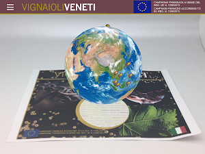 VIGNAIOLI VENETI Screenshot 3