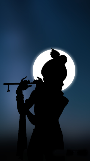 Lord Krishna Wallpapers Screenshot 1