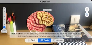 Brainapse Screenshot 2