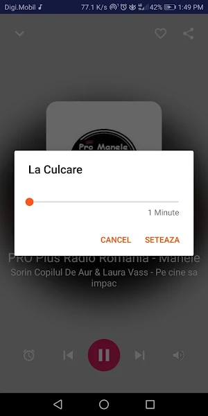 Manele petrecere si voie buna Screenshot 3