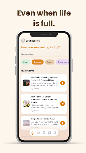 Soulbridge Screenshot 3