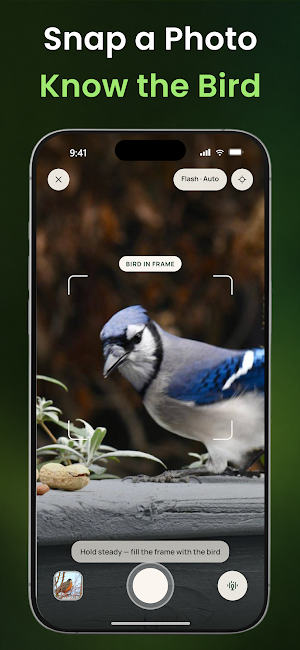 Bird Sound Identifier : BirdID Screenshot 2