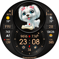 PETS DOGS
