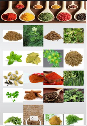 Herbs and Spices Benefits. Screenshot 1