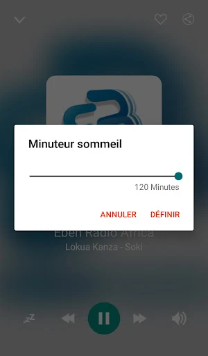 Radio Cameroon Screenshot 1