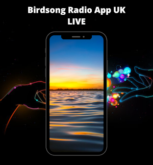 Birdsong Radio App UK LIVE Screenshot 0