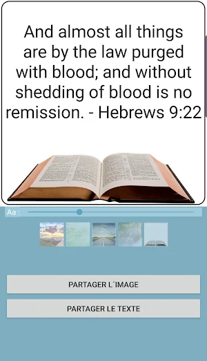 Bible and Dictionary Screenshot 1