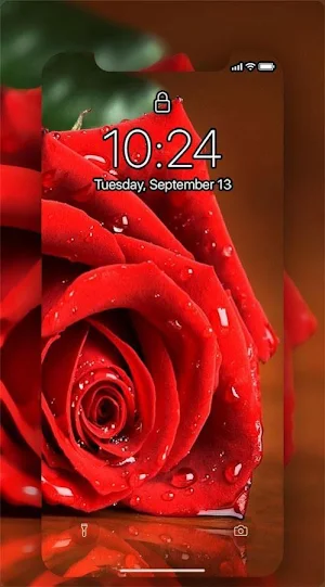 valentine love wallpaper 4K Screenshot 3