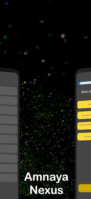 Nova Scotia Driving Test Prep Screenshot 2