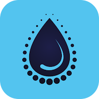 Fluid Equilibrium