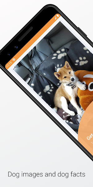 Dog Images and Facts Screenshot 0