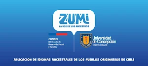 Zumi Screenshot 1