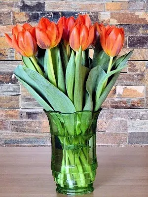 Tulipanes de Colores Fondos, I Screenshot 1