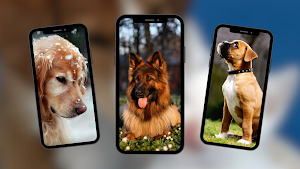 Dogs Wallpaper Screenshot 2