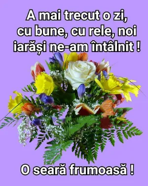 Bună Seara Screenshot 2