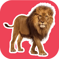 Animal Stickers for WhatsApp