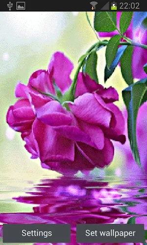 Purple Rose Swining LWP Screenshot 2